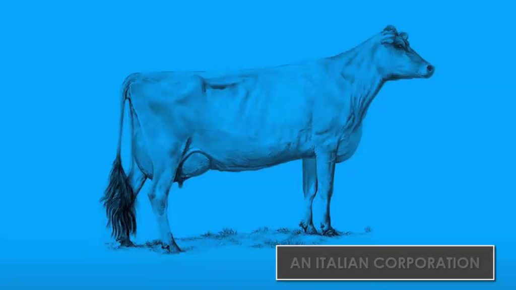 global economy explained through two cows model