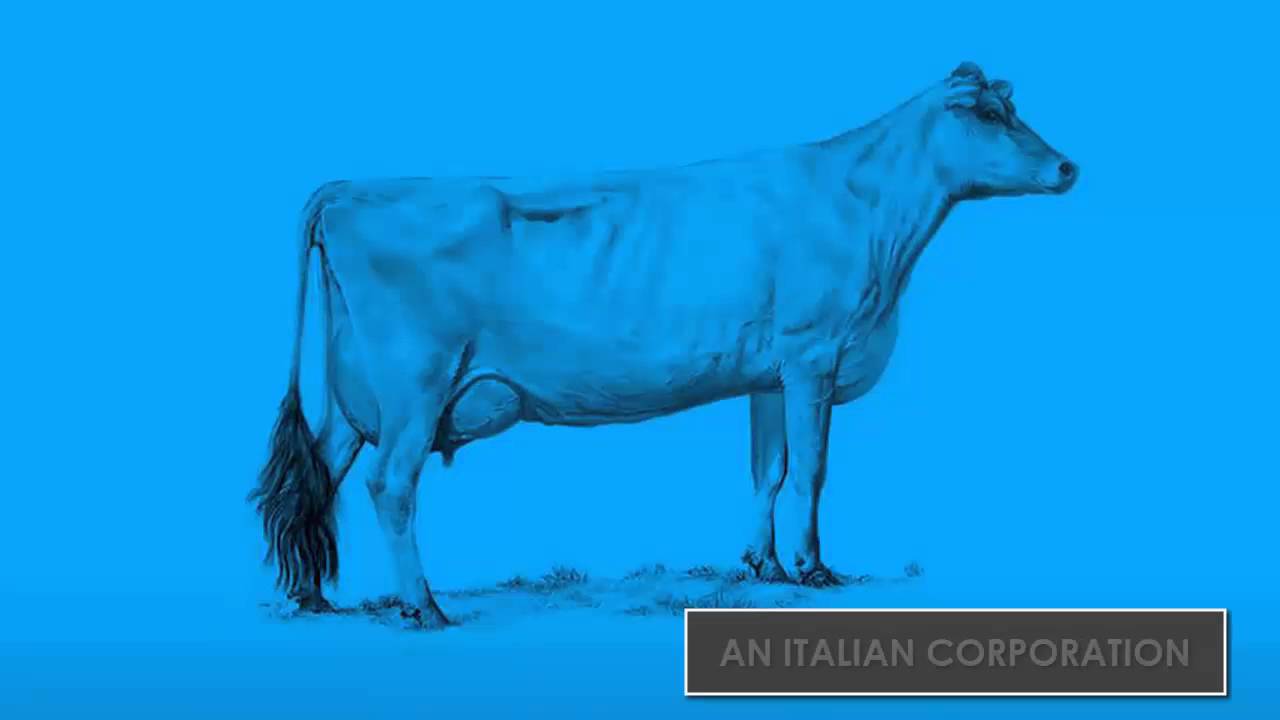 global economy explained through two cows model global economy explained through two cows model