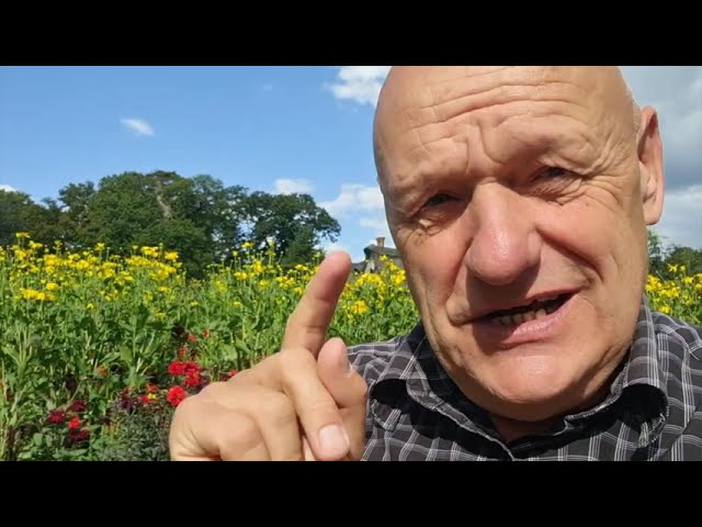 How can I generate extra income